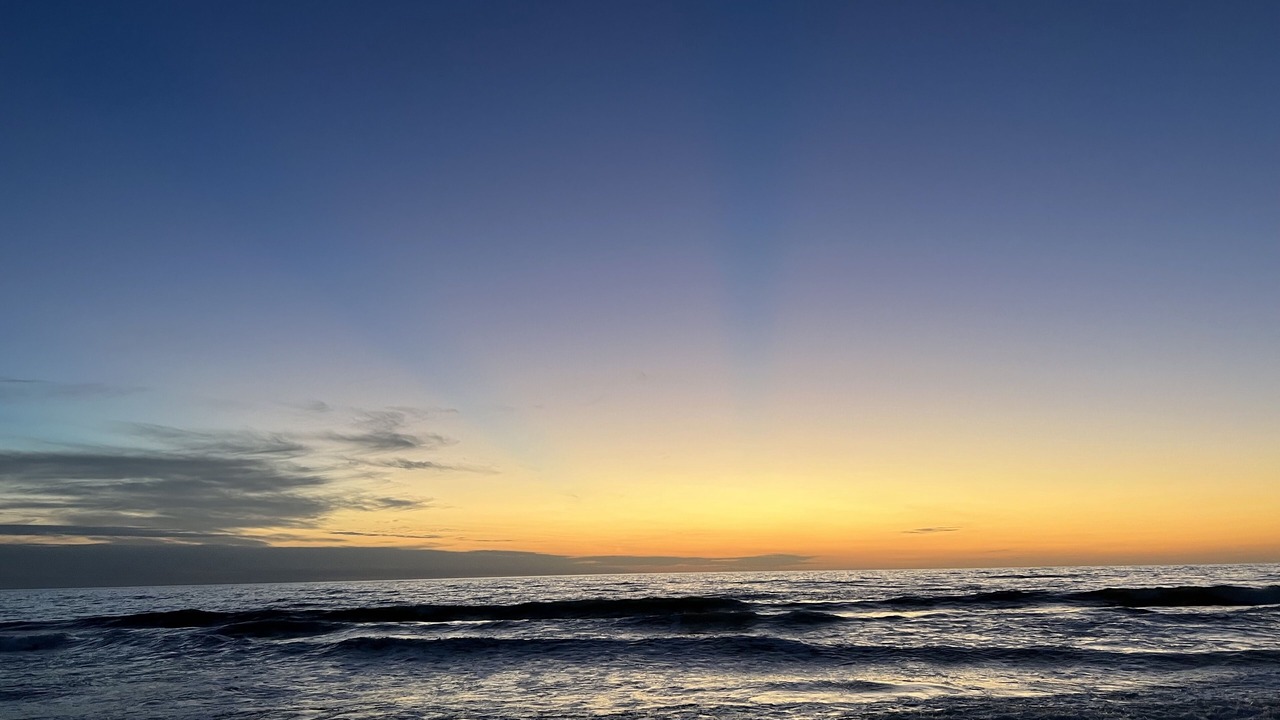 Photo of Others in Cape San Blas