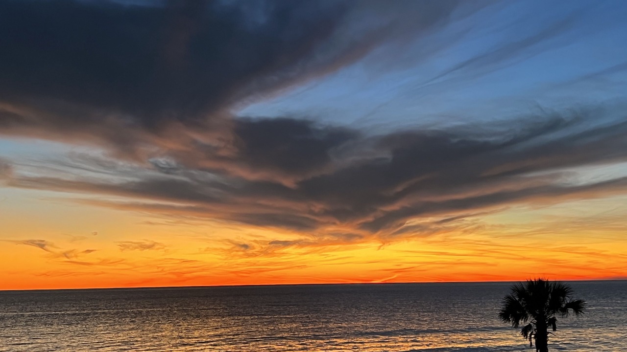 Photo of Others in Cape San Blas