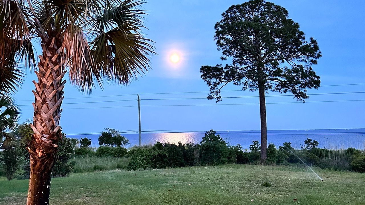 Photo of Outdoor in Freeport