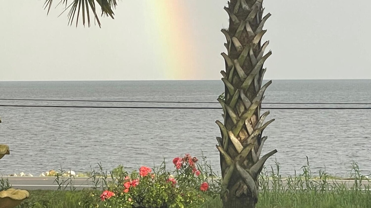 Photo of Outdoor in Freeport