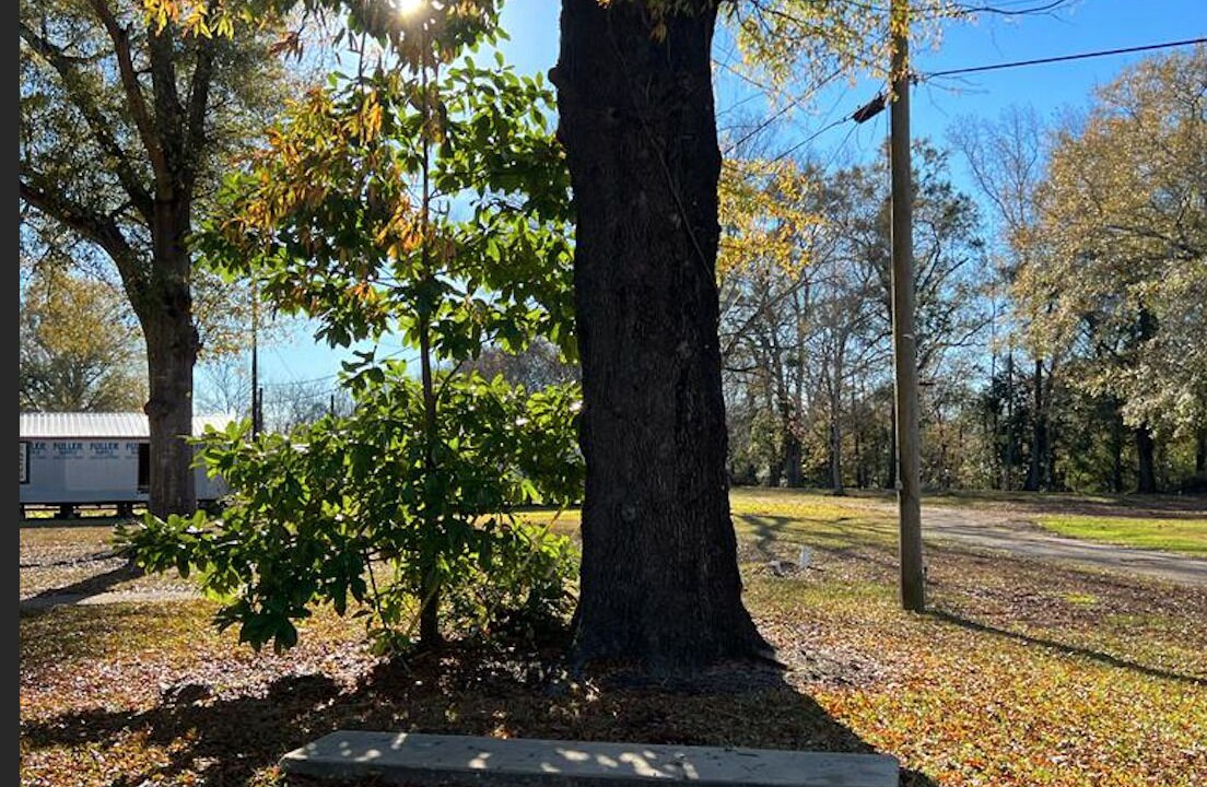 Photo of Outdoor in Selma