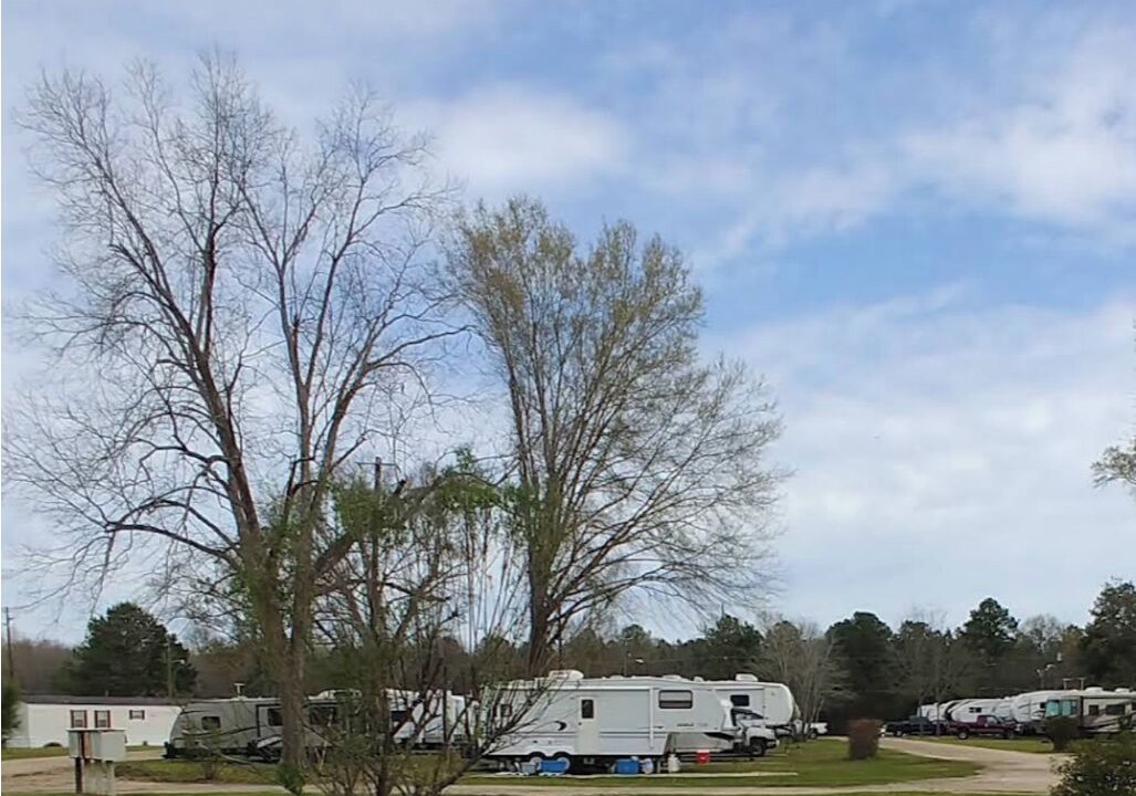 Photo of Others in Selma