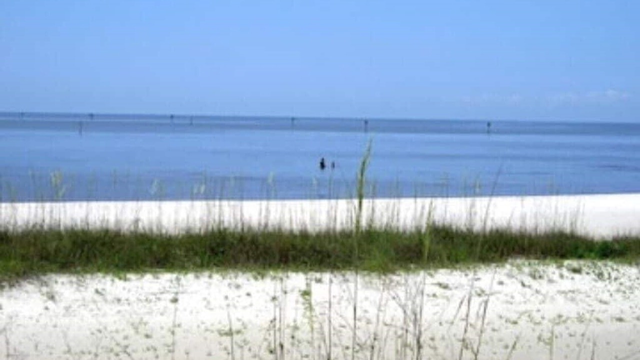 Photo of Others in Biloxi