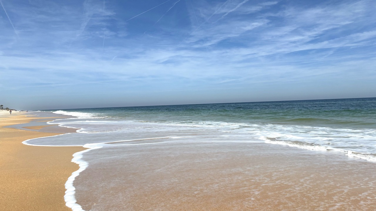 Photo of Others in Palm Coast