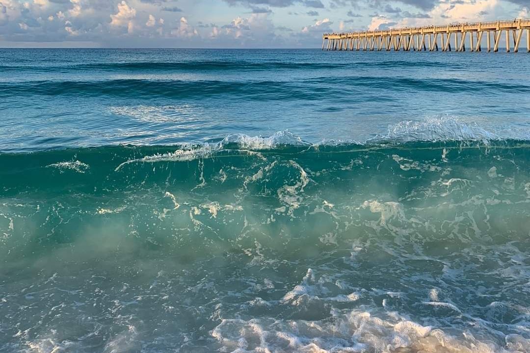 Photo of Others in Navarre
