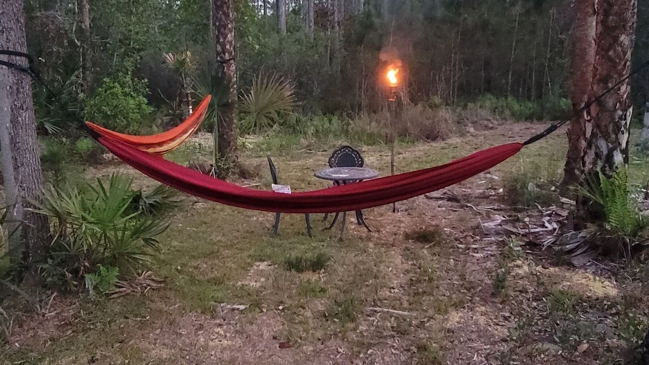 Photo of Others in Volusia County