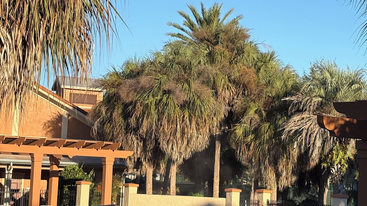 Photo of Patio Balcony in The Villages