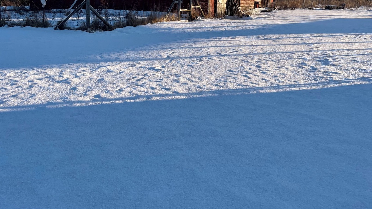 Photo of Outdoor in Hessel