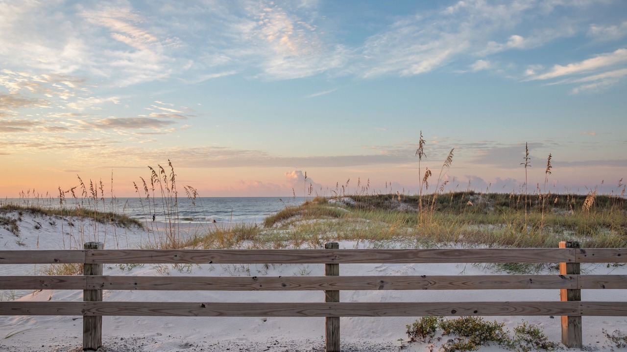 Photo of Others in Orange Beach