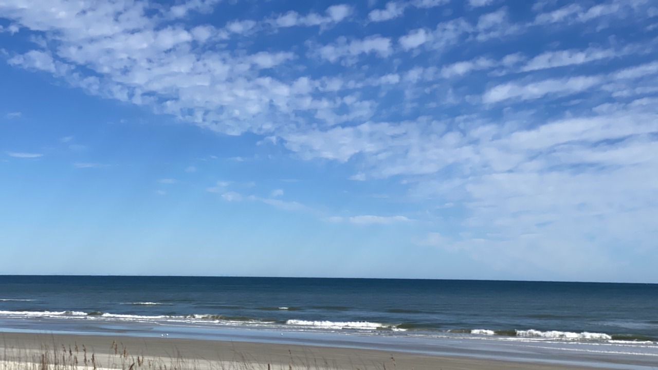 Photo of Others in New Smyrna Beach