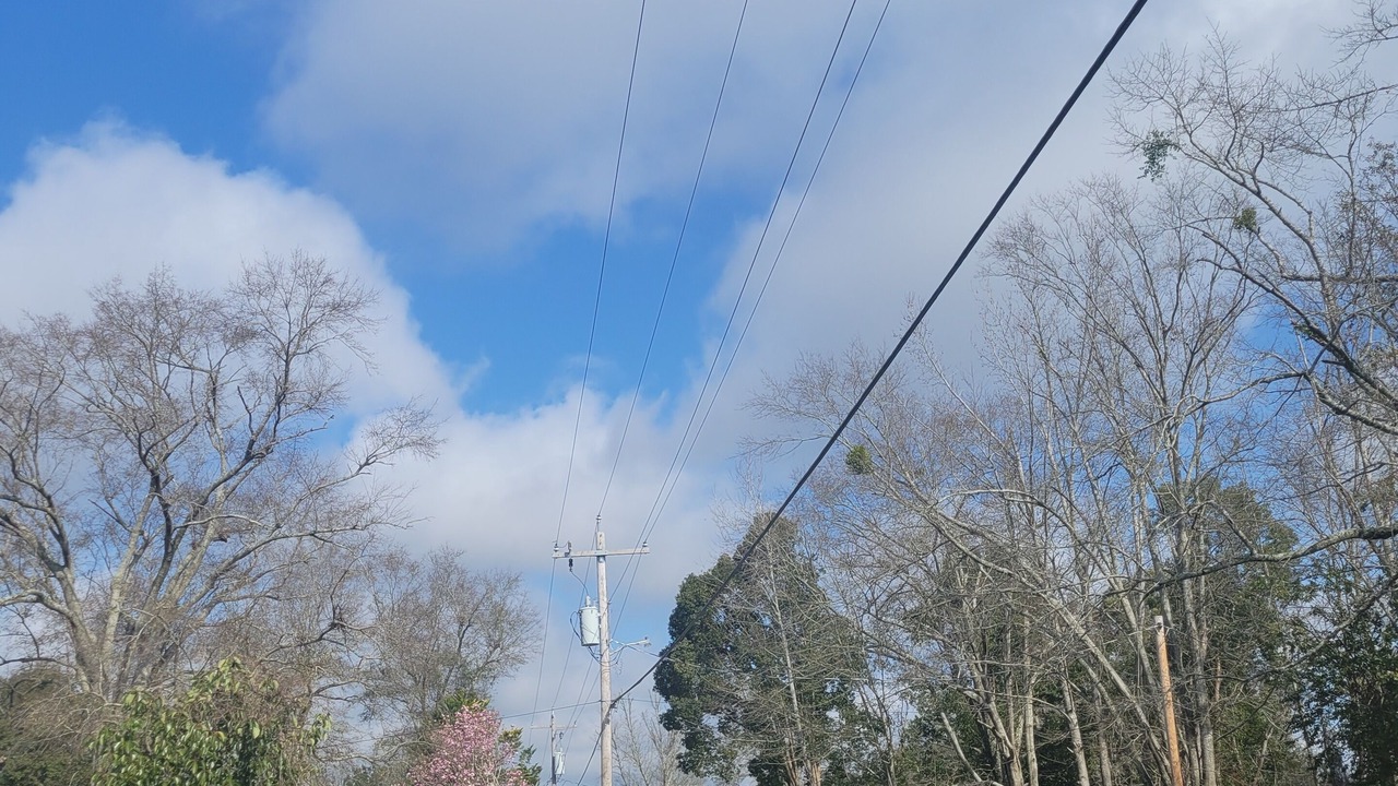 Photo of Outdoor in Robertsdale