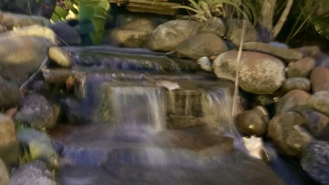 Photo of Outdoor in Scottsmoor