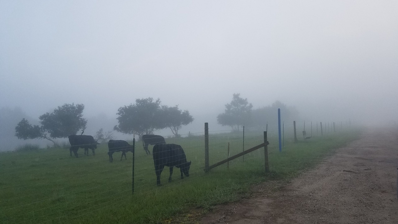 Photo of Others in Northside