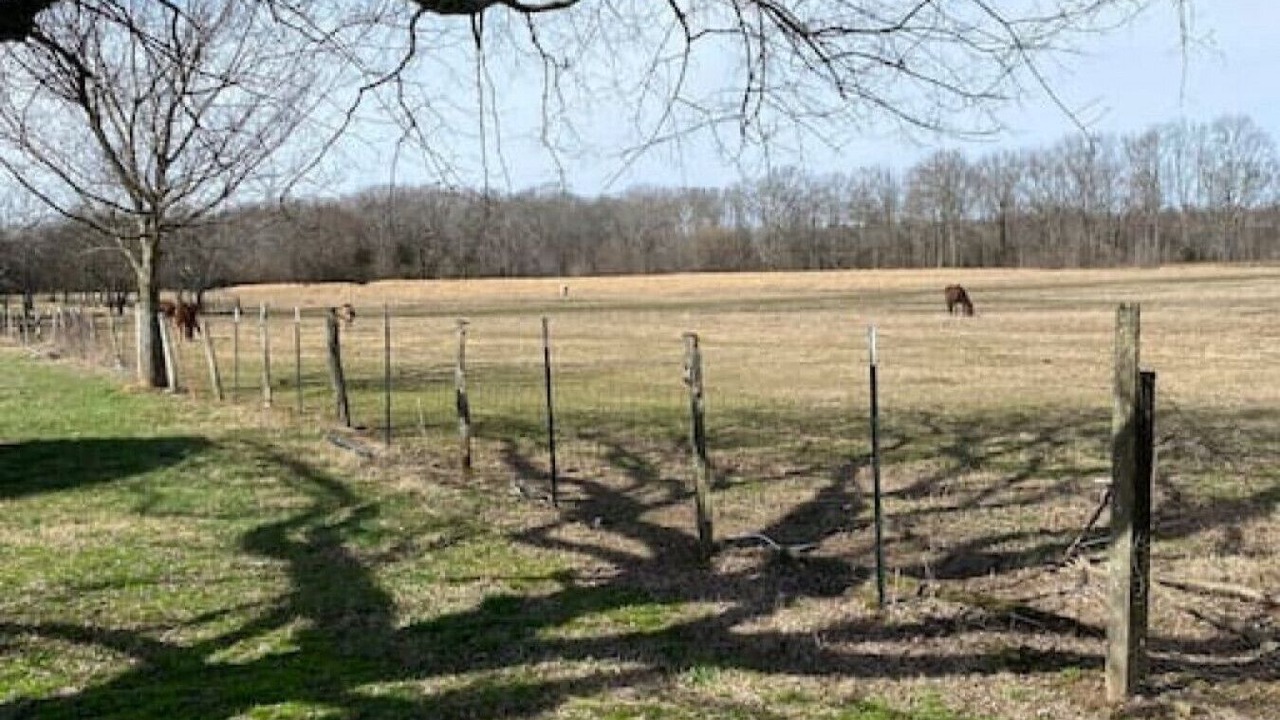 Photo of Others in Rogersville