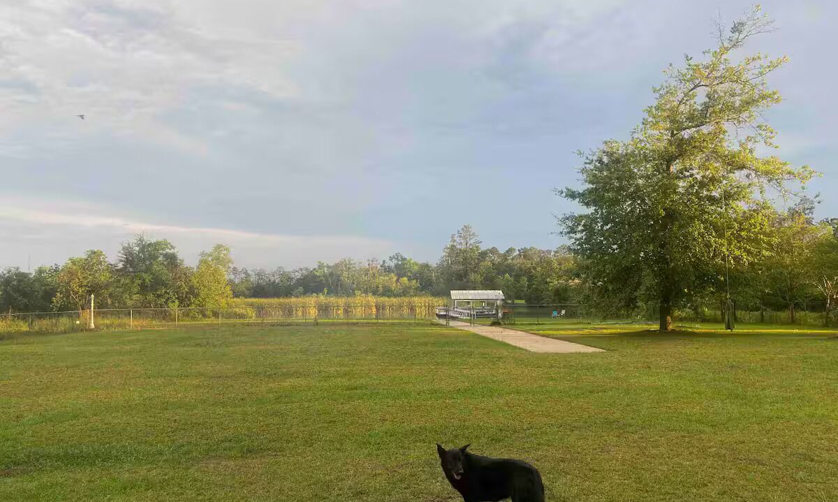 Photo of Others in Donalsonville