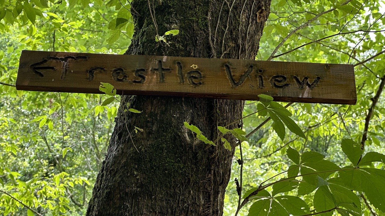 Photo of Outdoor in Piedmont