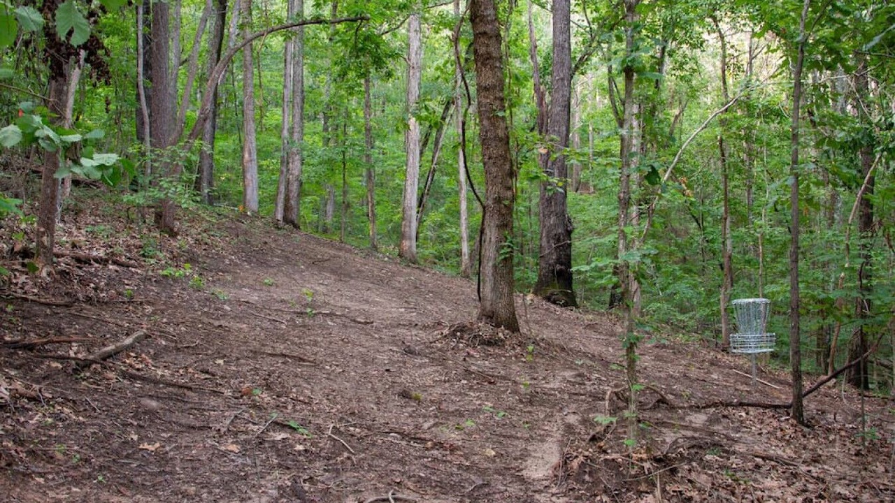 Photo of Others in Groveoak