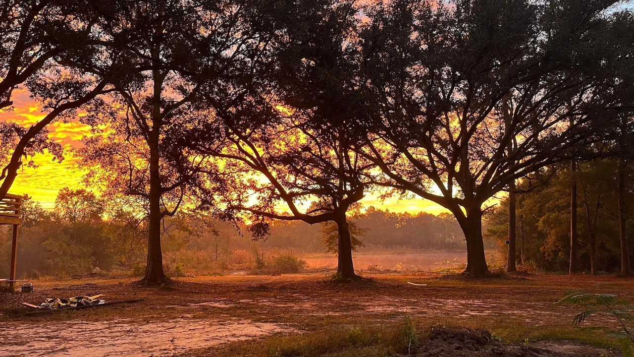 Photo of Outdoor in Picayune