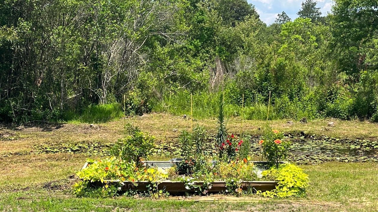 Photo of Outdoor in Picayune
