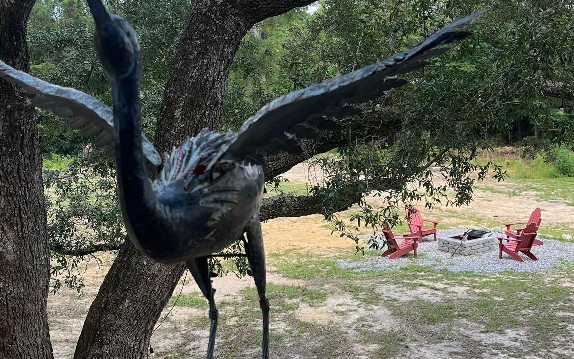 Photo of Outdoor in Picayune