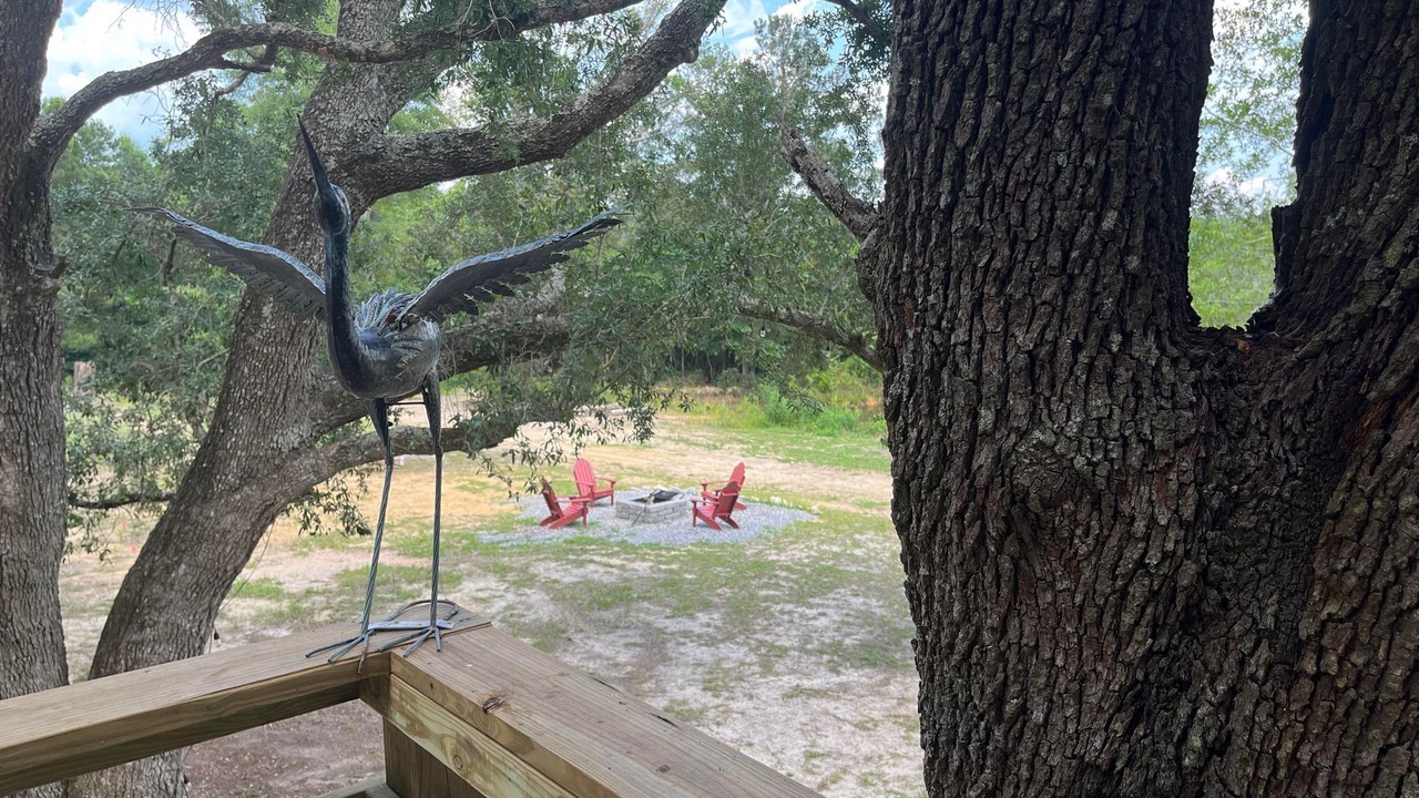 Photo of Outdoor in Picayune