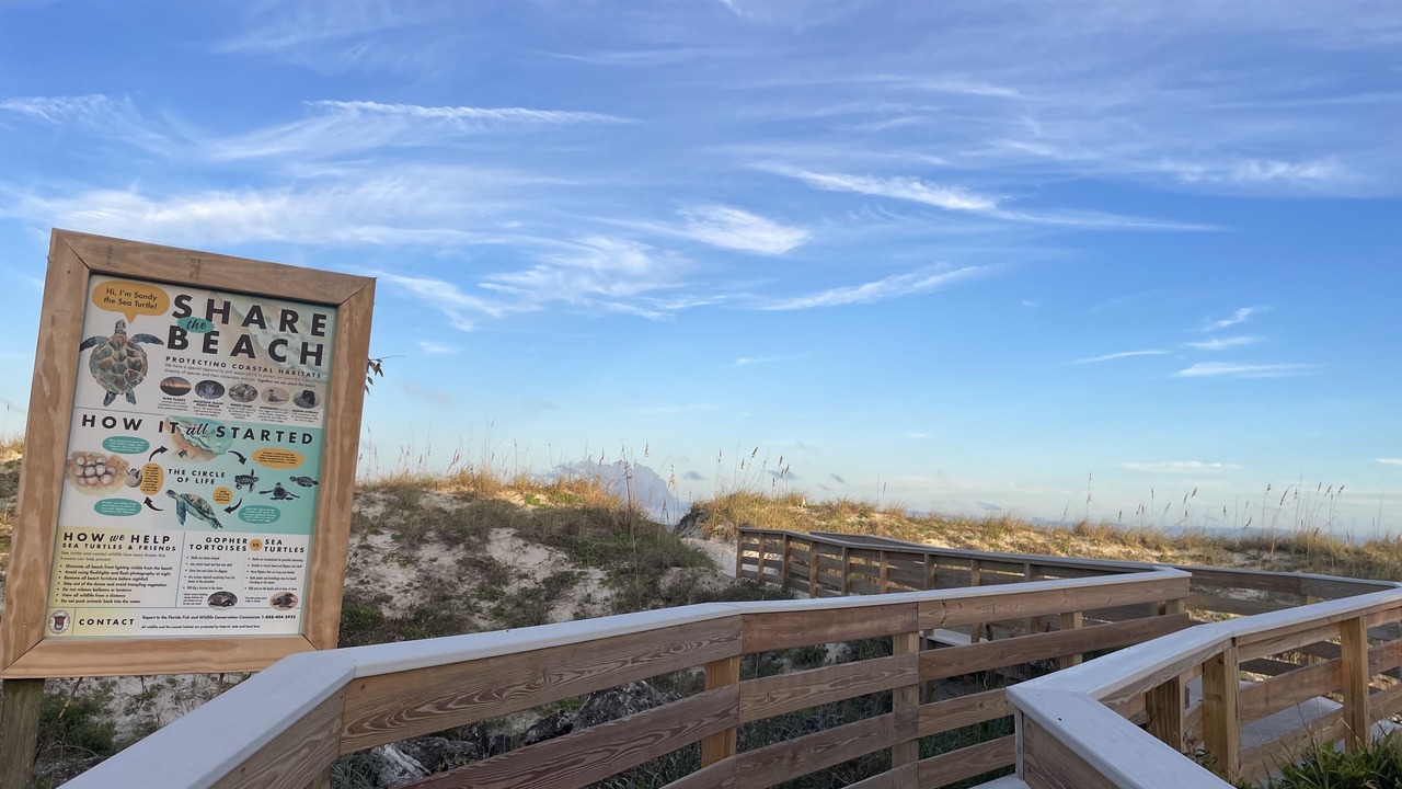 Photo of Outdoor in St. Augustine Beach
