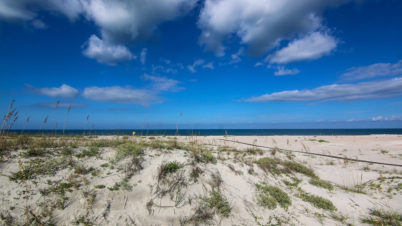 Photo of Others in St. Augustine Beach
