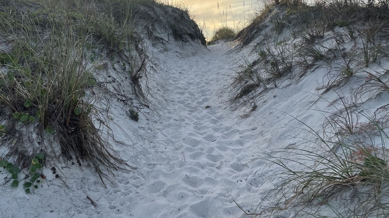 Photo of Others in St. Augustine Beach