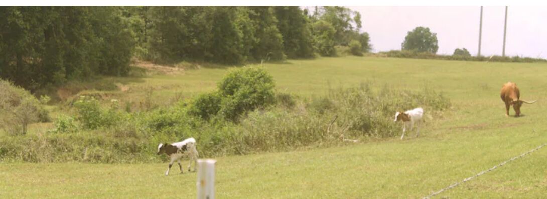 Photo of Others in Loxley