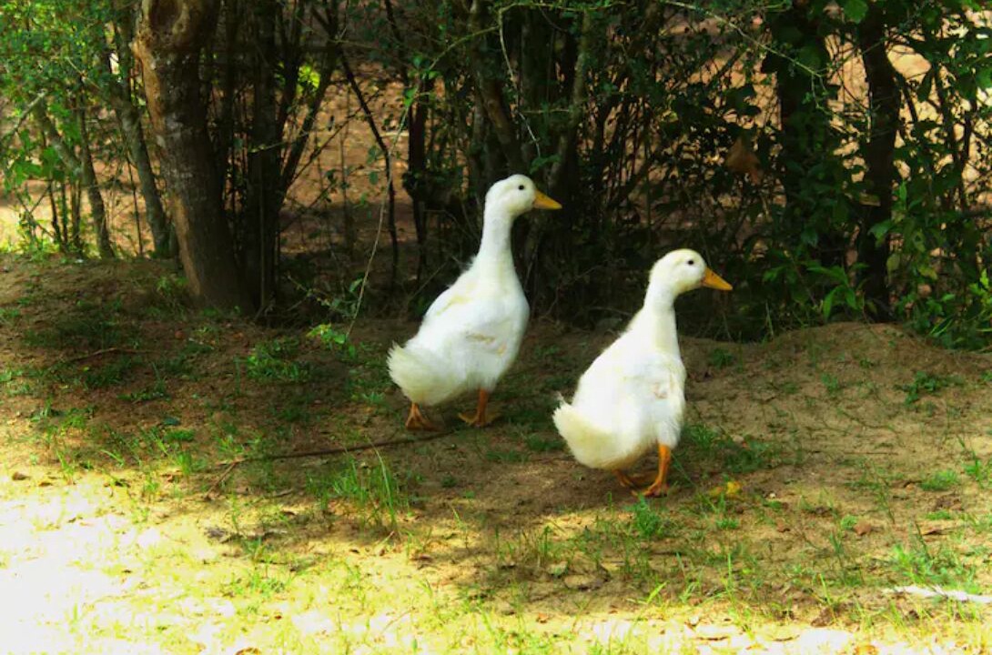 Photo of Others in Loxley