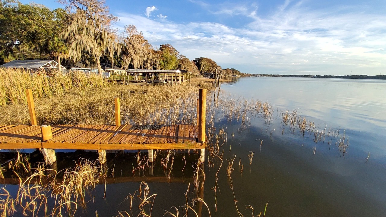 Photo of Others in Eustis