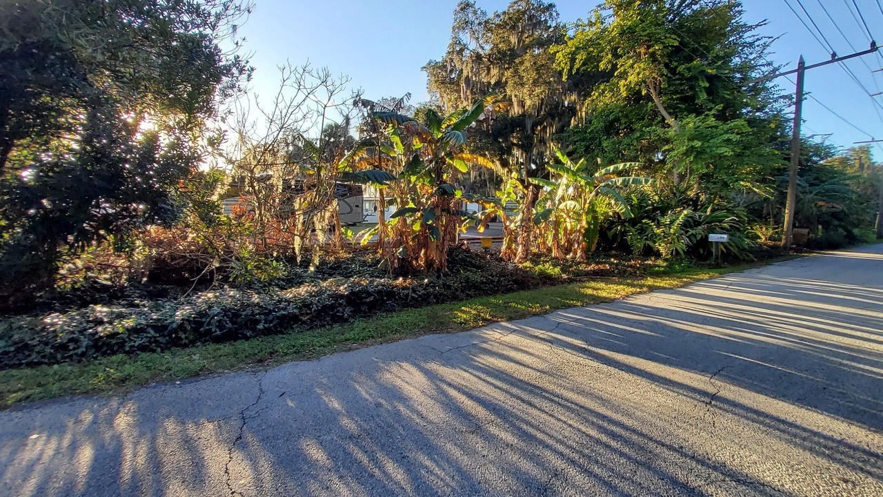 Photo of Outdoor in Eustis
