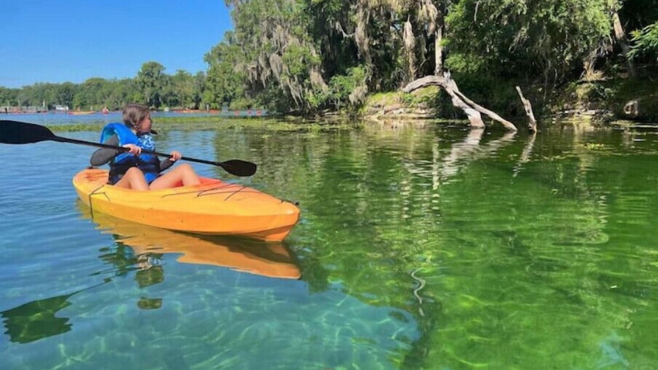 Photo of Others in DeLand