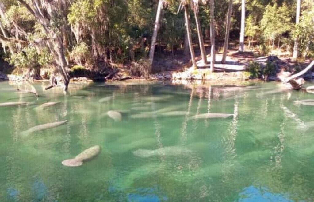 Photo of Outdoor in DeLand