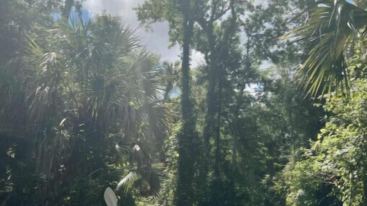 Photo of Others in DeLand