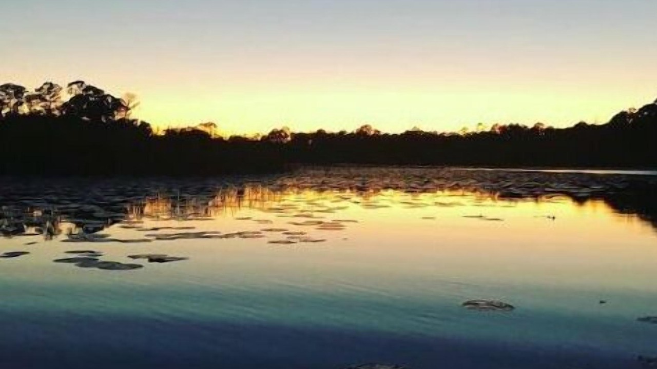 Photo of Others in Lake Mary