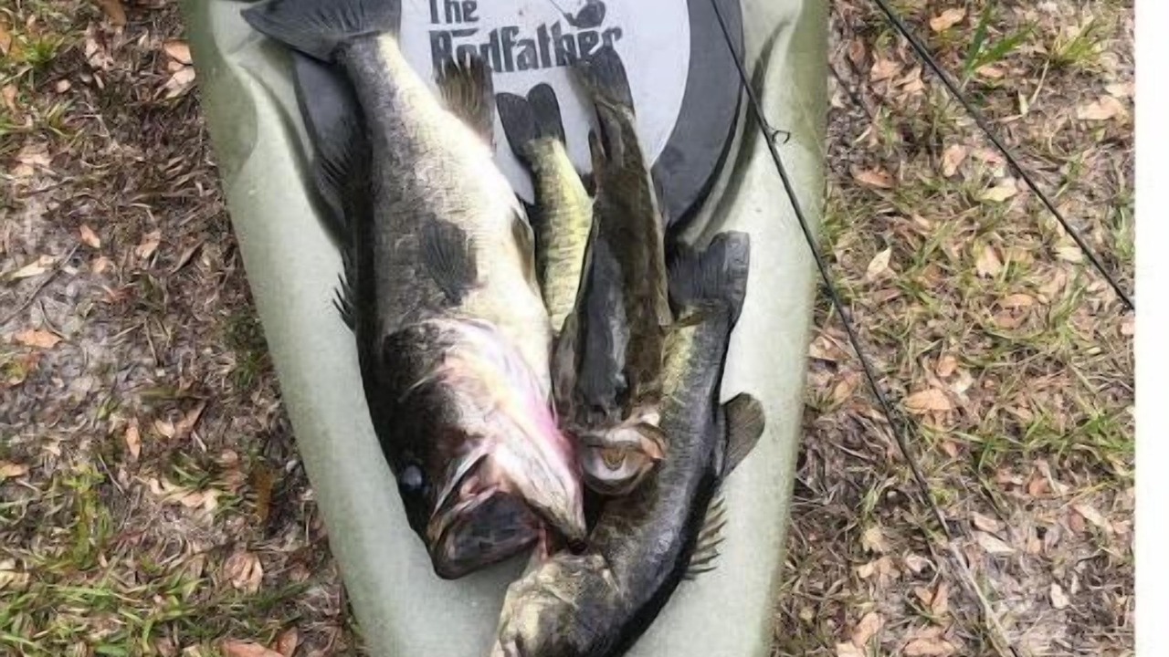 Photo of Outdoor in Lake Mary