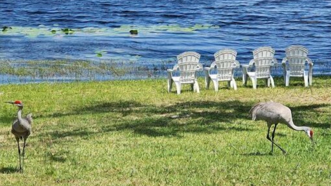 Photo of Outdoor in Lake Mary