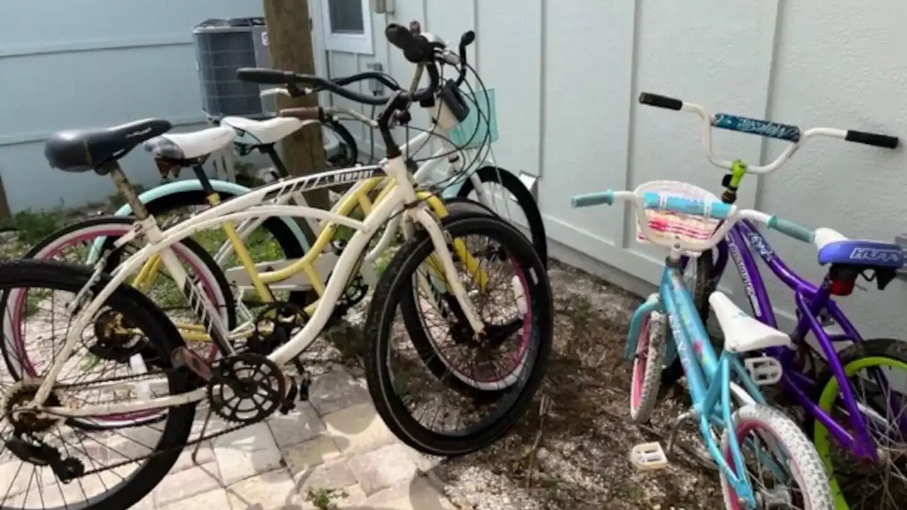 Photo of Outdoor in St. Augustine Beach