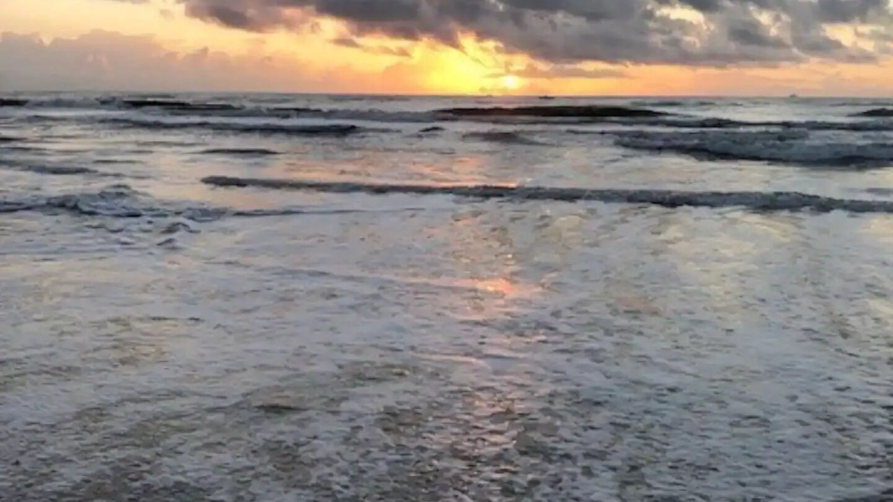 Photo of Others in St. Augustine Beach