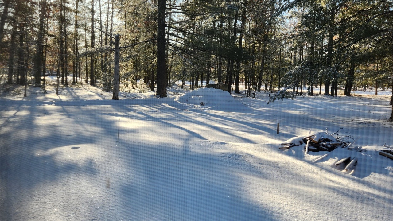 Photo of Others in Manistee