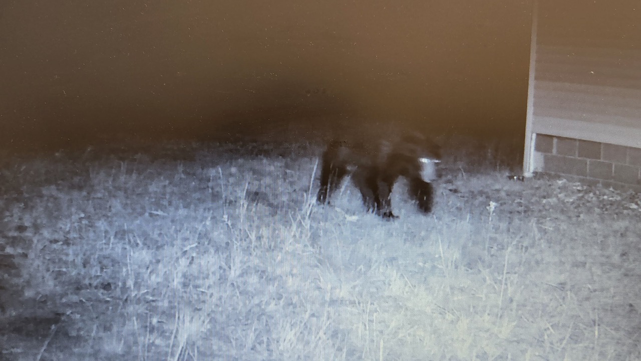 Photo of Others in Manistee