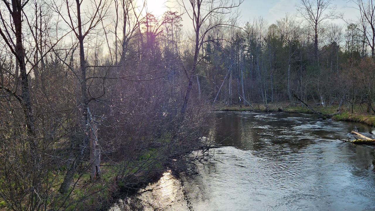 Photo of Others in Manistee