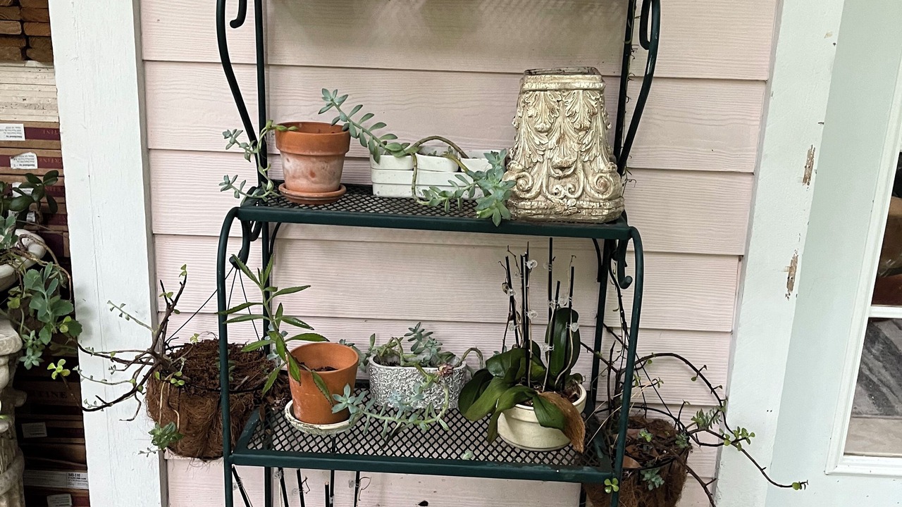 Photo of Outdoor in Sanford