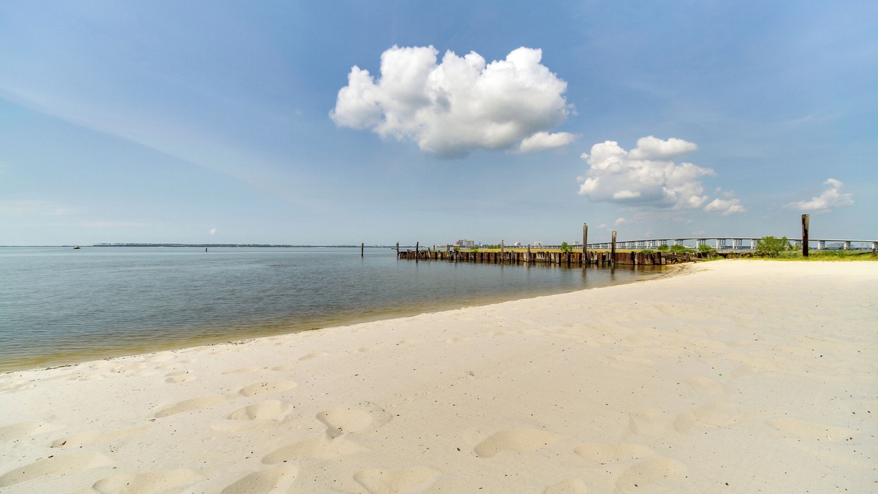 Photo of Others in Biloxi