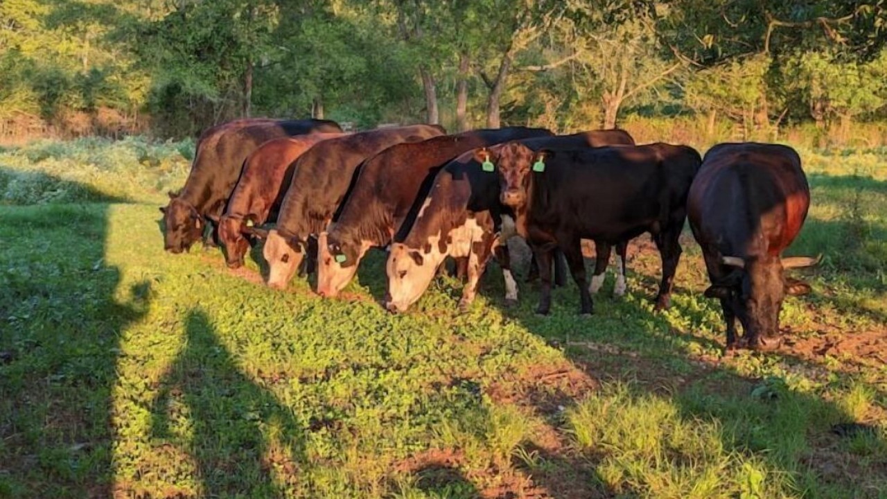 Photo of Others in Nacogdoches