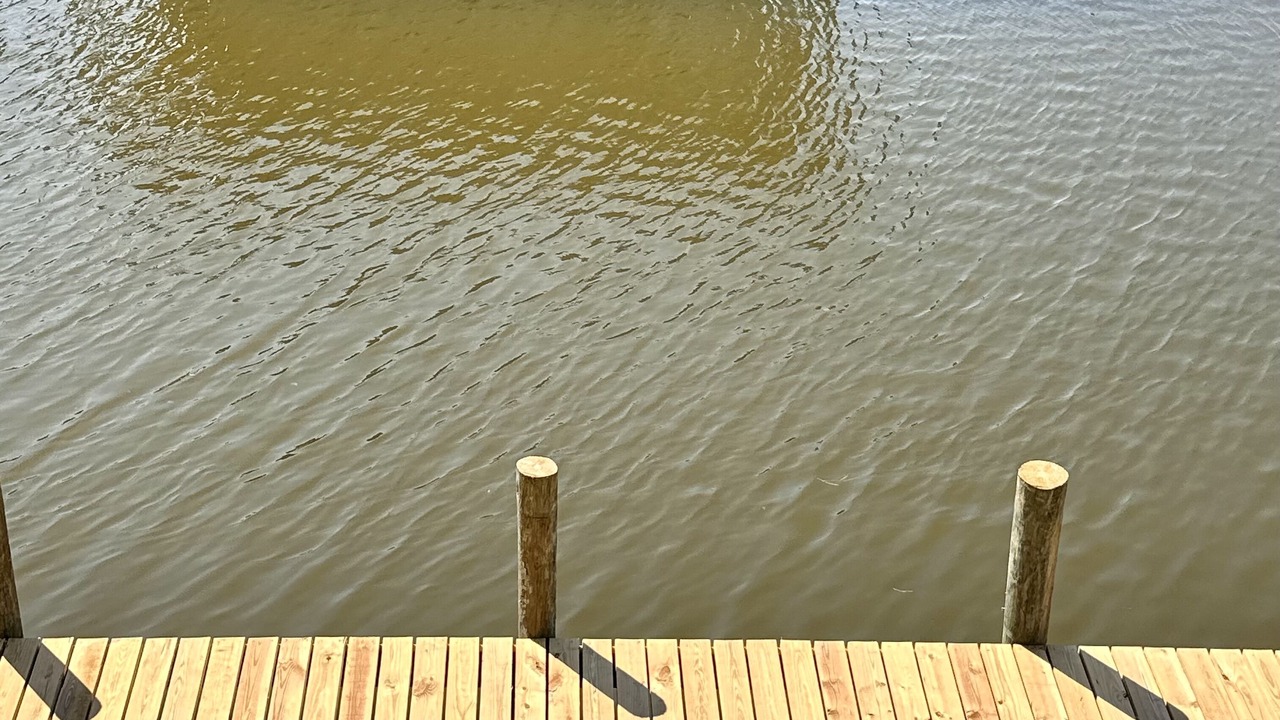 Photo of Outdoor in Shoreline Park