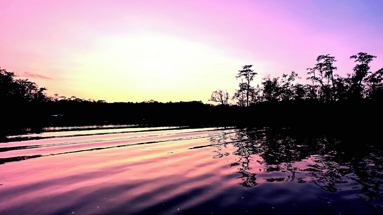Photo of Others in Satsuma