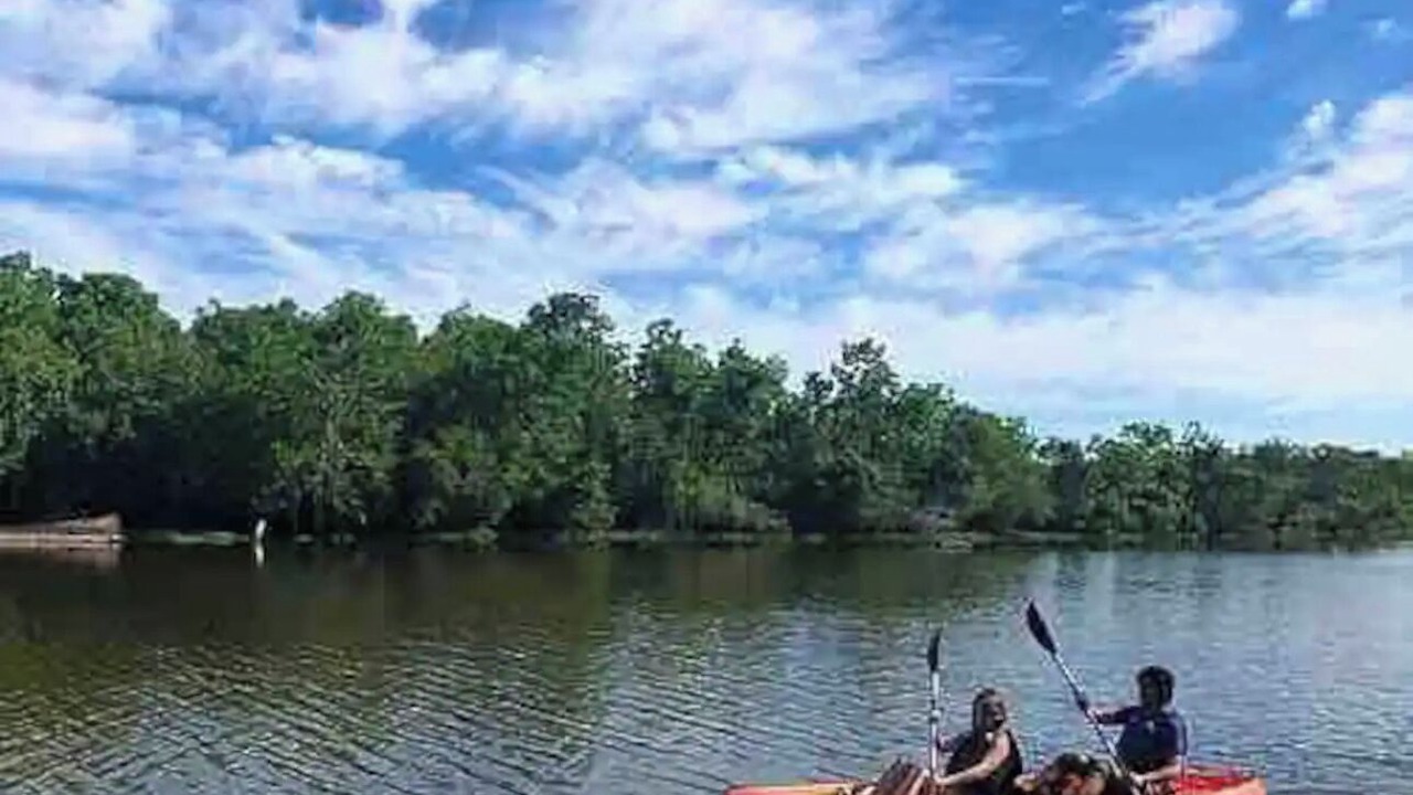 Photo of Others in Satsuma