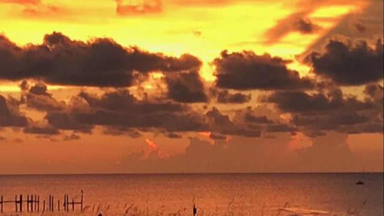 Photo of Others in Dauphin Island